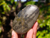 Polished Basalt Pharaoh Stone Palm Stones x 6 From Iron Duke Mine, Zimbabwe - Toprock Gemstones and Minerals 