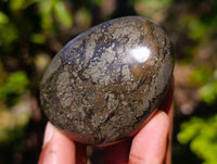 Polished Basalt Pharaoh Stone Palm Stones x 6 From Iron Duke Mine, Zimbabwe - Toprock Gemstones and Minerals 