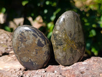 Polished Basalt Pharaoh Stone Palm Stones x 6 From Iron Duke Mine, Zimbabwe - Toprock Gemstones and Minerals 