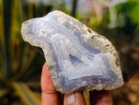 Natural Blue Lace Agate Geode Specimens x 24 From Nsanje, Malawi