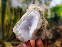 Natural Blue Lace Agate Geode Specimens x 24 From Nsanje, Malawi