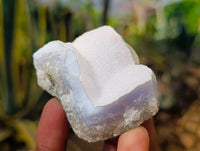 Natural Blue Lace Agate Geode Specimens x 24 From Nsanje, Malawi