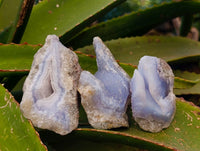 Natural Blue Lace Agate Geode Specimens x 24 From Nsanje, Malawi