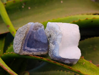 Natural Blue Lace Agate Geode Specimens x 24 From Nsanje, Malawi