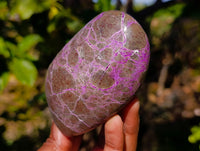 Polished Stichtite Standing Free Forms x 3 From Barberton, South Africa