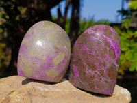 Polished Stichtite Standing Free Forms x 3 From Barberton, South Africa