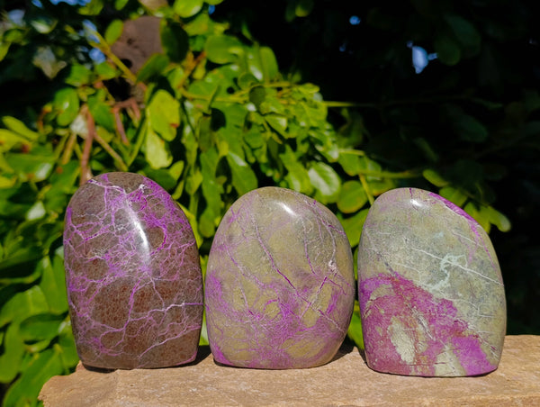 Polished Stichtite Standing Free Forms x 3 From Barberton, South Africa