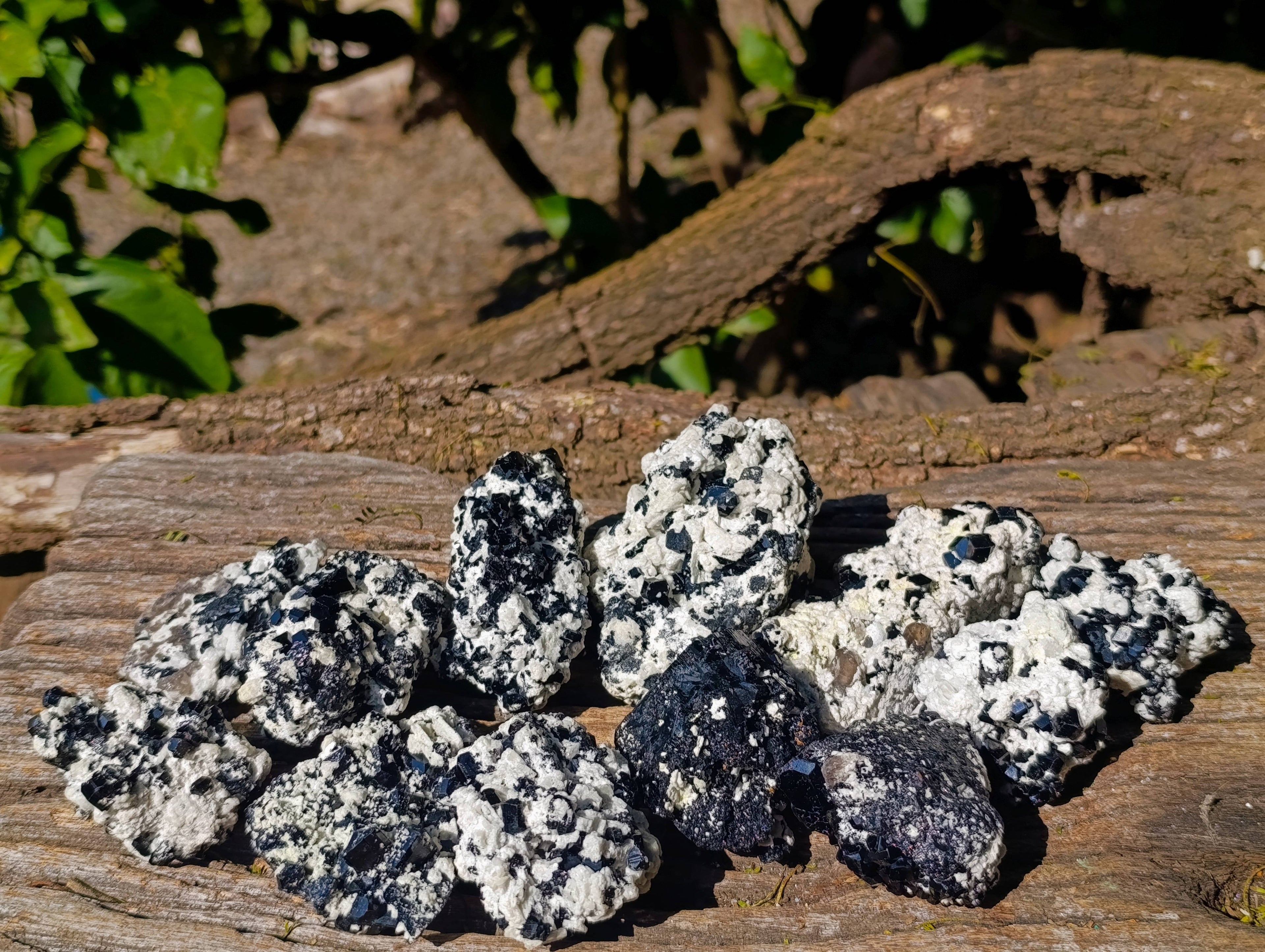Natural Schorl Black Tourmaline Specimens x 12 From Erongo, Namibia - Toprock Gemstones and Minerals 