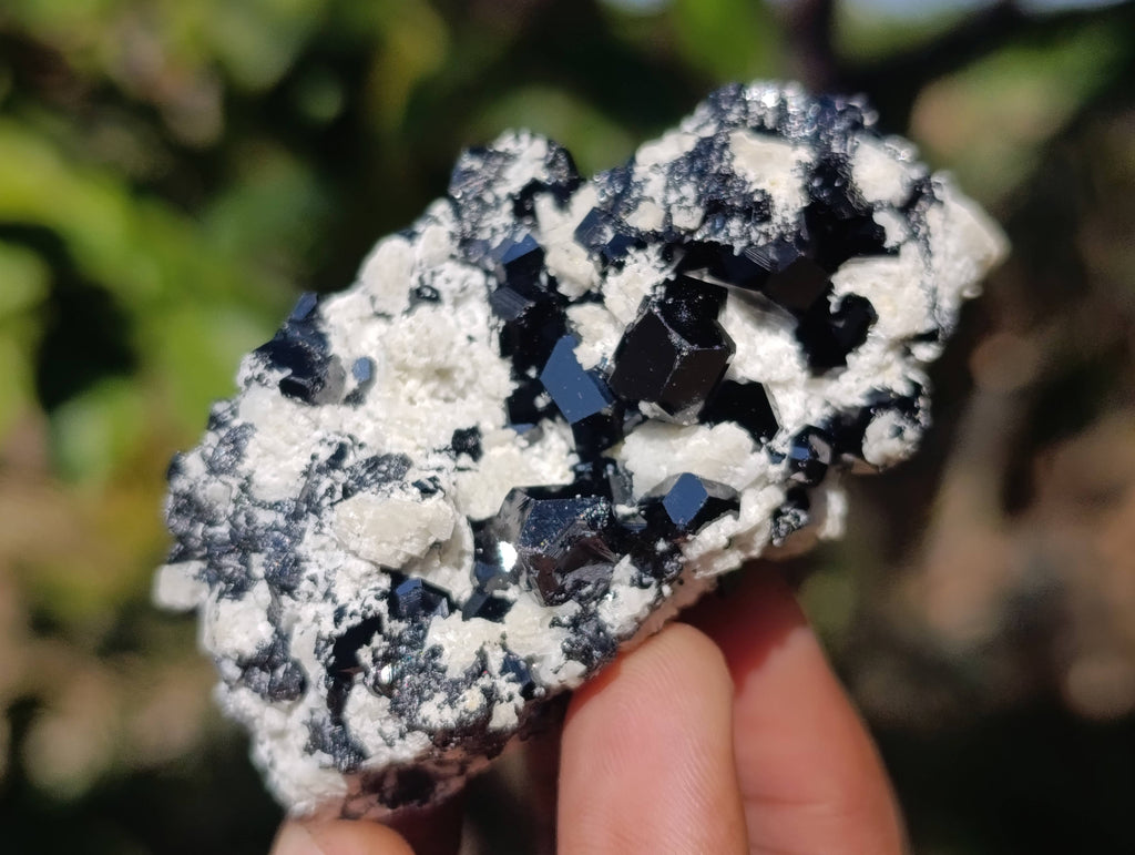 Natural Schorl Black Tourmaline Specimens x 12 From Erongo, Namibia - Toprock Gemstones and Minerals 