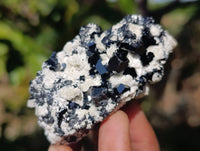 Natural Schorl Black Tourmaline Specimens x 12 From Erongo, Namibia