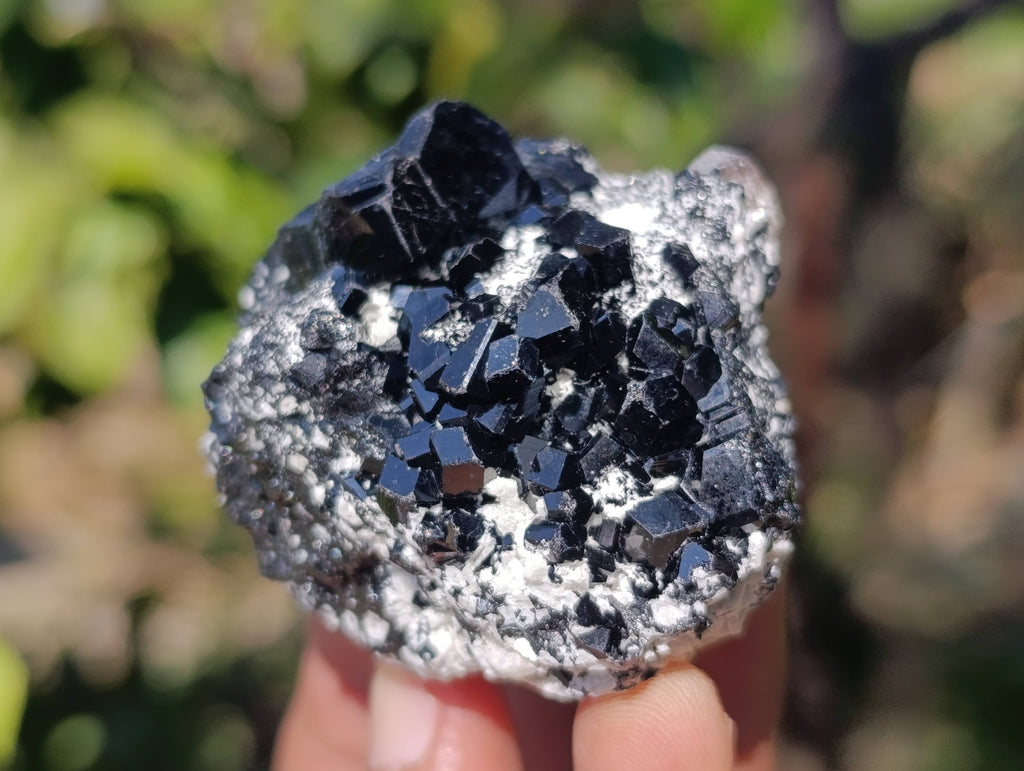 Natural Schorl Black Tourmaline Specimens x 12 From Erongo, Namibia - Toprock Gemstones and Minerals 