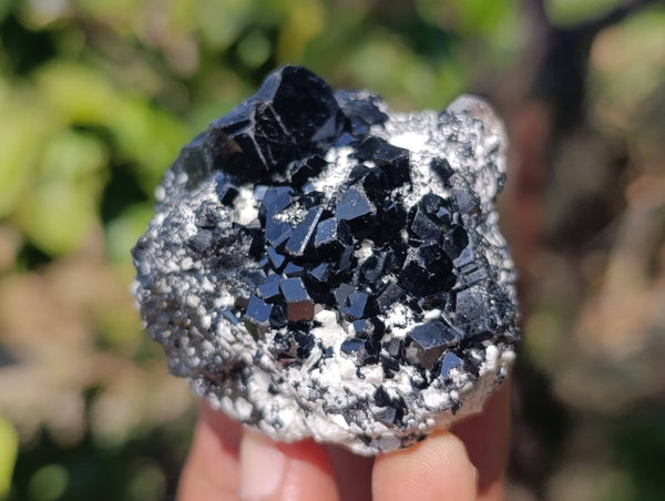 Natural Schorl Black Tourmaline Specimens x 12 From Erongo, Namibia