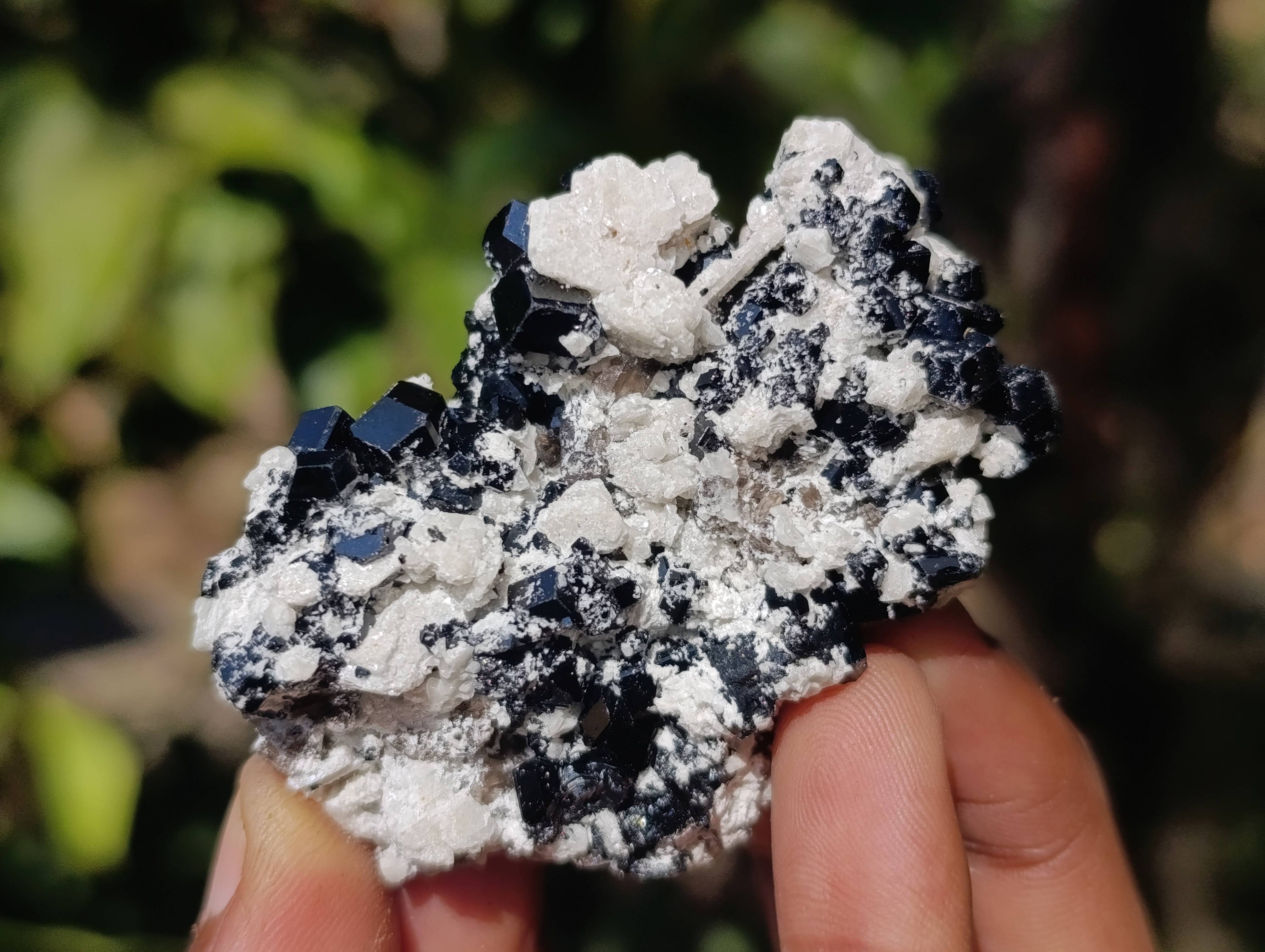 Natural Schorl Black Tourmaline Specimens x 12 From Erongo, Namibia - Toprock Gemstones and Minerals 
