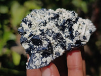 Natural Schorl Black Tourmaline Specimens x 12 From Erongo, Namibia