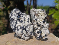 Natural Schorl Black Tourmaline Specimens x 12 From Erongo, Namibia