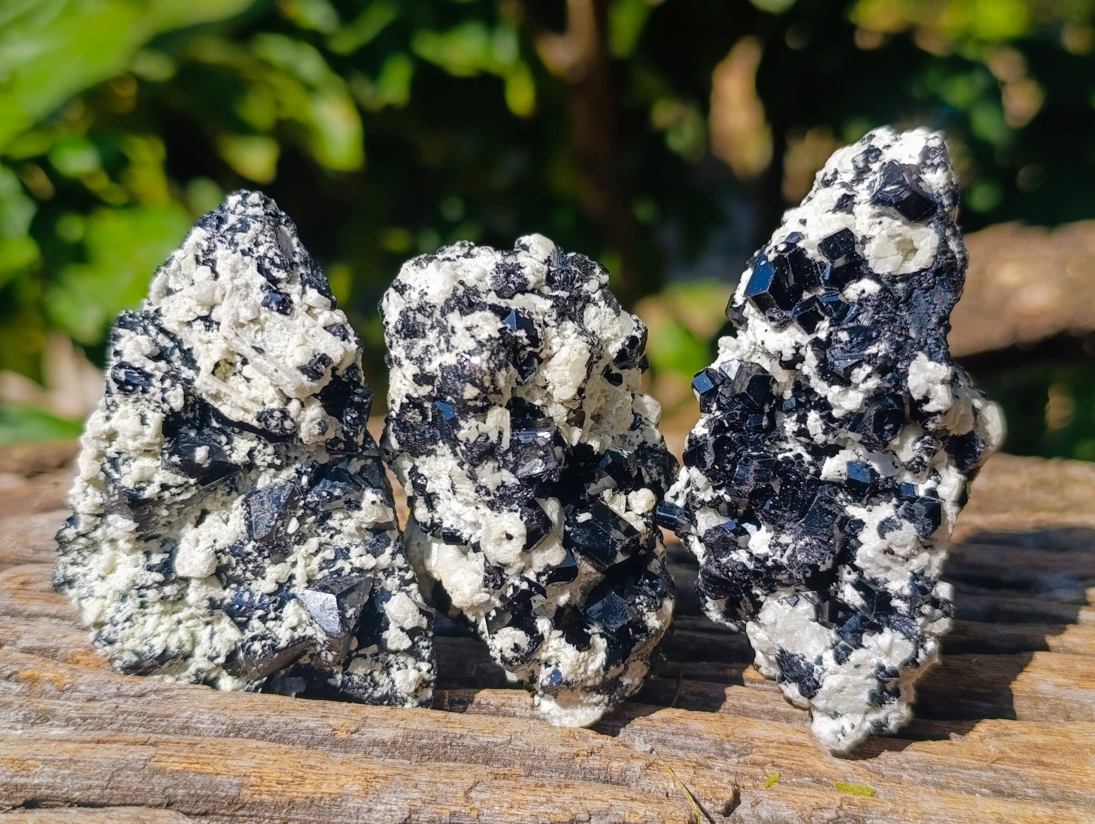 Natural Schorl Black Tourmaline Specimens x 12 From Erongo, Namibia - Toprock Gemstones and Minerals 