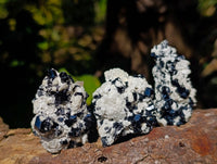 Natural Schorl Black Tourmaline Specimens x 12 From Erongo, Namibia