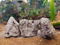 Natural Red Pyrope Garnet Crystals in Quartz Feldspar Matrix x 24 From Namibia