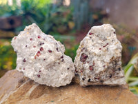 Natural Red Pyrope Garnet Crystals in Quartz Feldspar Matrix x 24 From Namibia