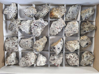 Natural Red Pyrope Garnet Crystals in Quartz Feldspar Matrix x 24 From Namibia