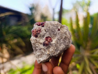 Natural Red Pyrope Garnet Crystals in Quartz Feldspar Matrix x 24 From Namibia