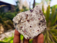 Natural Red Pyrope Garnet Crystals in Quartz Feldspar Matrix x 24 From Namibia