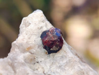 Natural Red Pyrope Garnet Crystals in Quartz Feldspar Matrix x 24 From Namibia