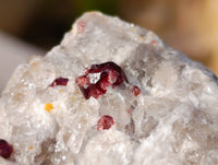 Natural Red Pyrope Garnet Crystals in Quartz Feldspar Matrix x 24 From Namibia