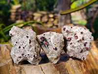 Natural Red Pyrope Garnet Crystals in Quartz Feldspar Matrix x 24 From Namibia