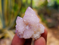 Natural Amethyst Spirit Quartz Crystals x 35 From Boekenhouthoek, South Africa