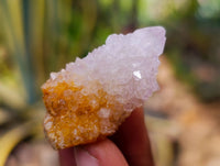Natural Amethyst Spirit Quartz Crystals x 35 From Boekenhouthoek, South Africa