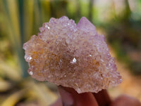 Natural Amethyst Spirit Quartz Crystals x 35 From Boekenhouthoek, South Africa