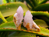 Natural Amethyst Spirit Quartz Crystals x 35 From Boekenhouthoek, South Africa