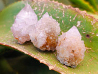 Natural Amethyst Spirit Quartz Crystals x 35 From Boekenhouthoek, South Africa