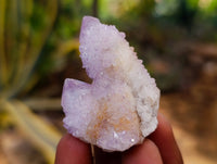 Natural Amethyst Spirit Quartz Crystals x 35 From Boekenhouthoek, South Africa