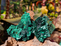 Natural Silky Malachite Specimens x 6 From Kasompe, Congo