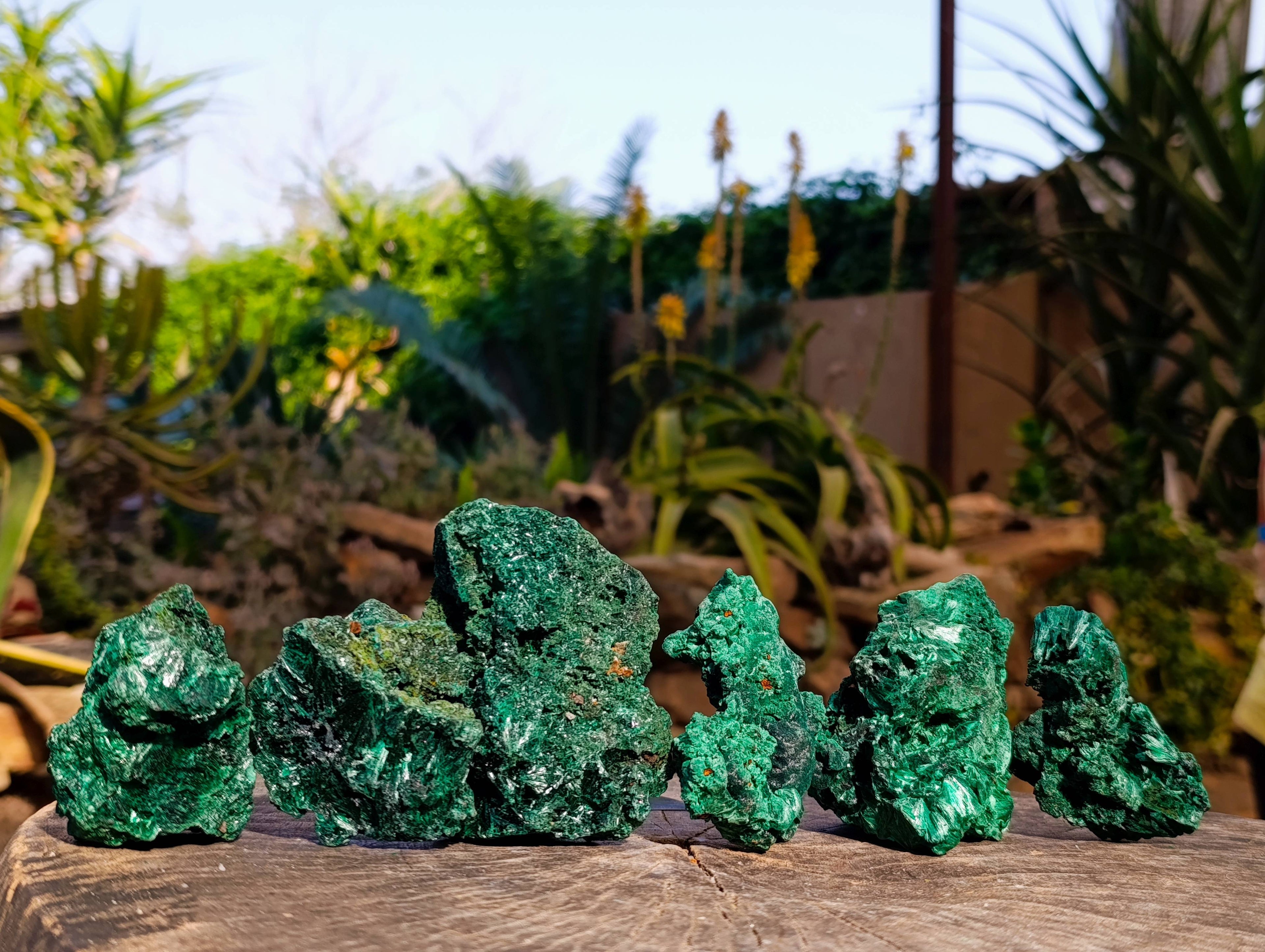 Natural Silky Malachite Specimens x 6 From Kasompe, Congo - Toprock Gemstones and Minerals 