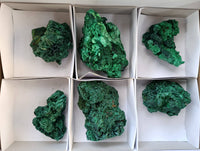 Natural Silky Malachite Specimens x 6 From Kasompe, Congo