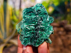 Natural Silky Malachite Specimens x 6 From Kasompe, Congo - Toprock Gemstones and Minerals 