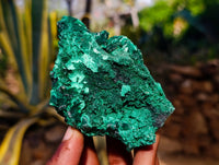 Natural Silky Malachite Specimens x 6 From Kasompe, Congo