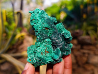 Natural Silky Malachite Specimens x 6 From Kasompe, Congo