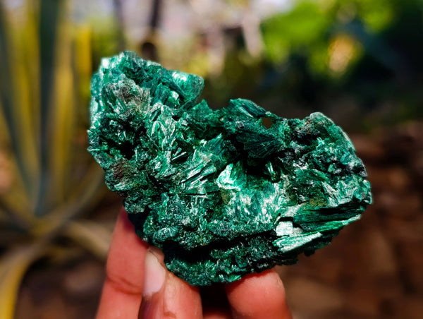 Natural Silky Malachite Specimens x 6 From Kasompe, Congo