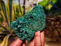 Natural Silky Malachite Specimens x 6 From Kasompe, Congo
