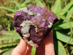 Natural Metallic Purpurite Specimens x 3 From Erongo, Namibia - Toprock Gemstones and Minerals 
