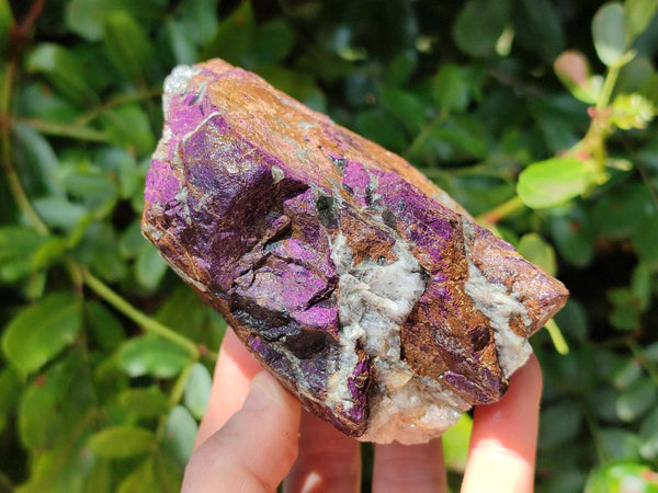Natural Metallic Purpurite Specimens x 3 From Erongo, Namibia