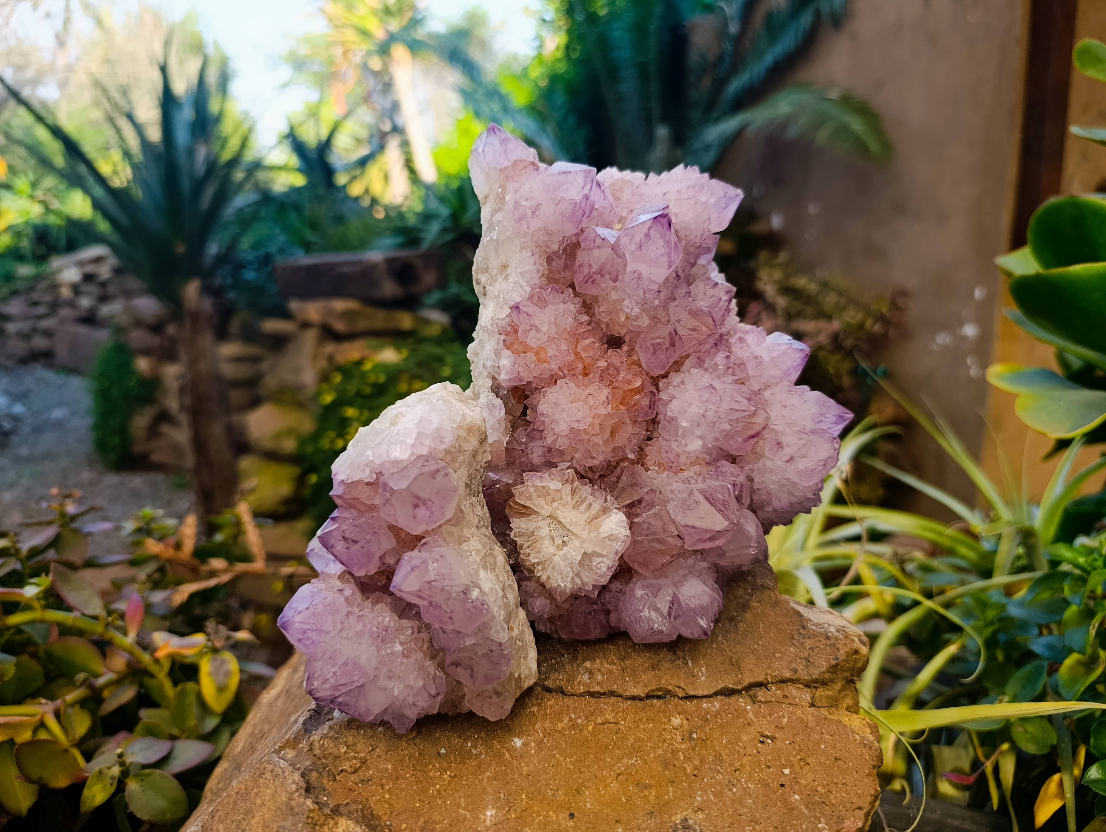 Natural Amethyst Spirit Quartz Clusters x 2 From Boekenhouthoek, South Africa - Toprock Gemstones and Minerals 