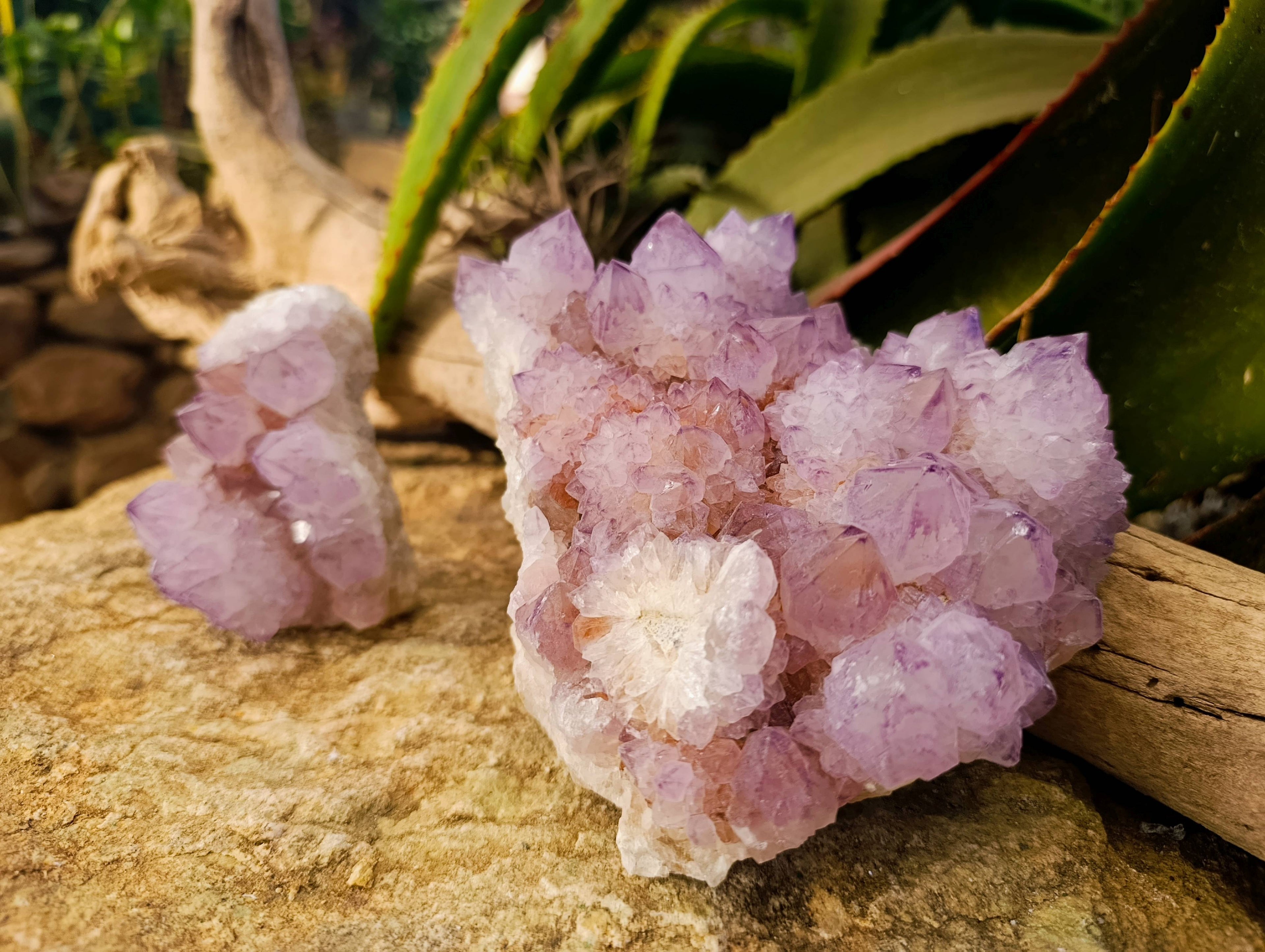 Natural Amethyst Spirit Quartz Clusters x 2 From Boekenhouthoek, South Africa - Toprock Gemstones and Minerals 