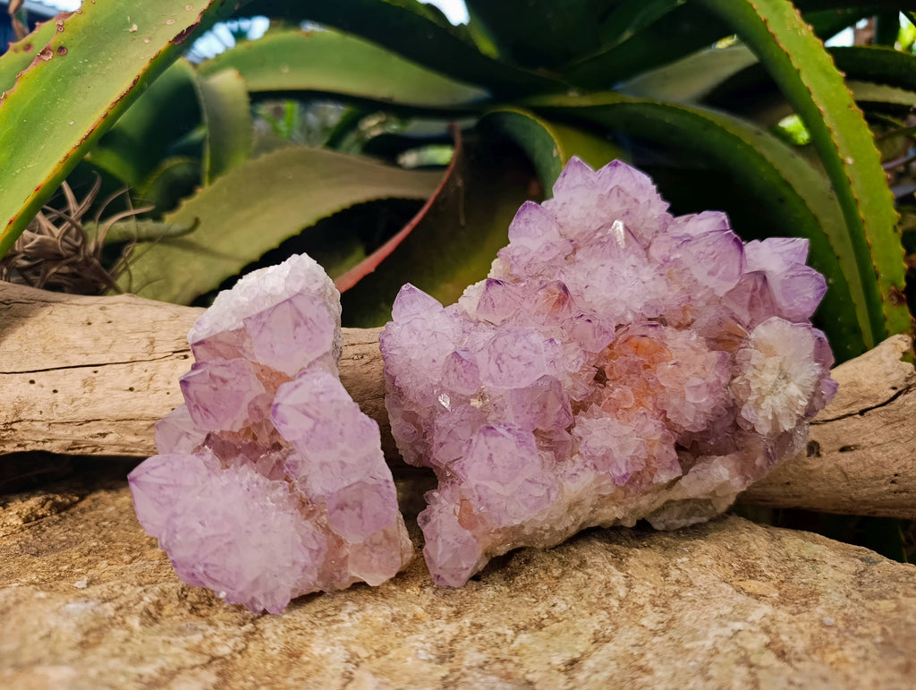 Natural Amethyst Spirit Quartz Clusters x 2 From Boekenhouthoek, South Africa - Toprock Gemstones and Minerals 