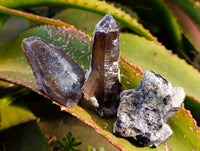 Natural Smokey Quartz Crystal Specimens x 14 From Erongo, Namibia