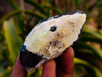 Natural Smokey Quartz Crystal Specimens x 14 From Erongo, Namibia